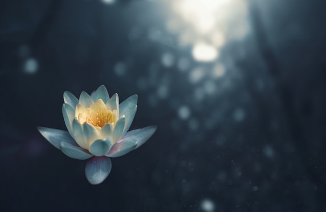 Yin Yoga
